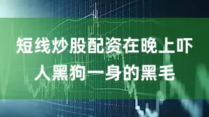 短线炒股配资在晚上吓人黑狗一身的黑毛