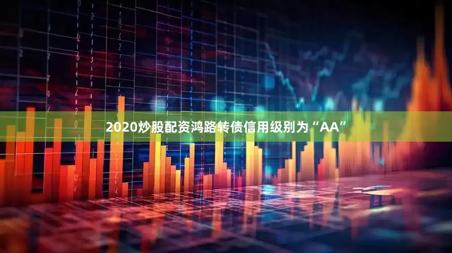 2020炒股配资鸿路转债信用级别为“AA”