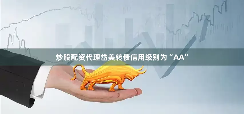 炒股配资代理岱美转债信用级别为“AA”