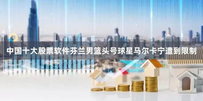 中国十大股票软件芬兰男篮头号球星马尔卡宁遭到限制