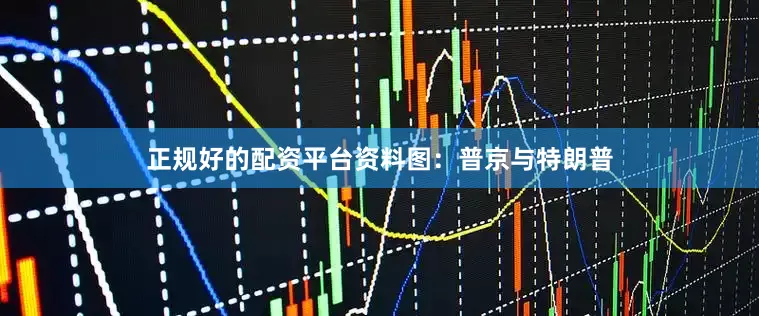 正规好的配资平台资料图：普京与特朗普