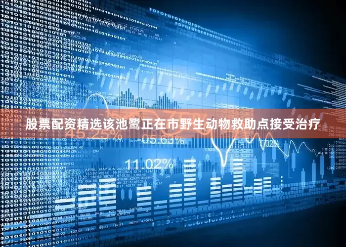 股票配资精选该池鹭正在市野生动物救助点接受治疗